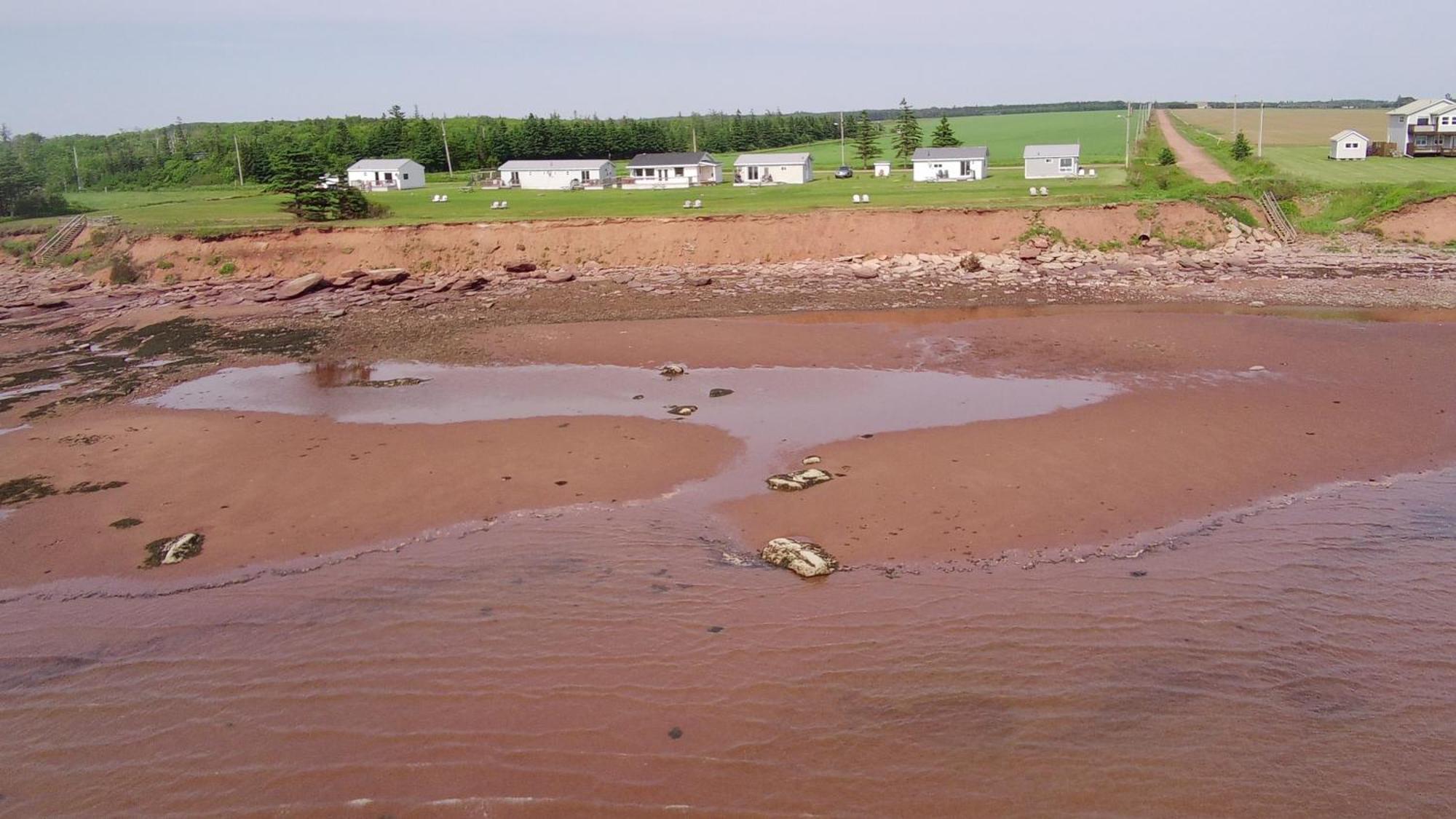 Cottages On Pei-Oceanfront Bedeque Kültér fotó