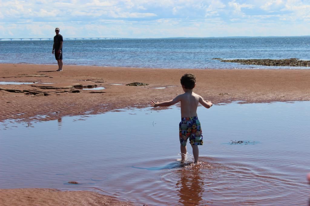 Cottages On Pei-Oceanfront Bedeque Kültér fotó